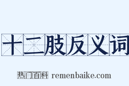 十二肢反义词是什么意思的图片